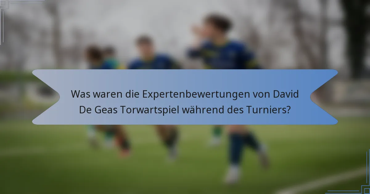 Was waren die Expertenbewertungen von David De Geas Torwartspiel während des Turniers?
