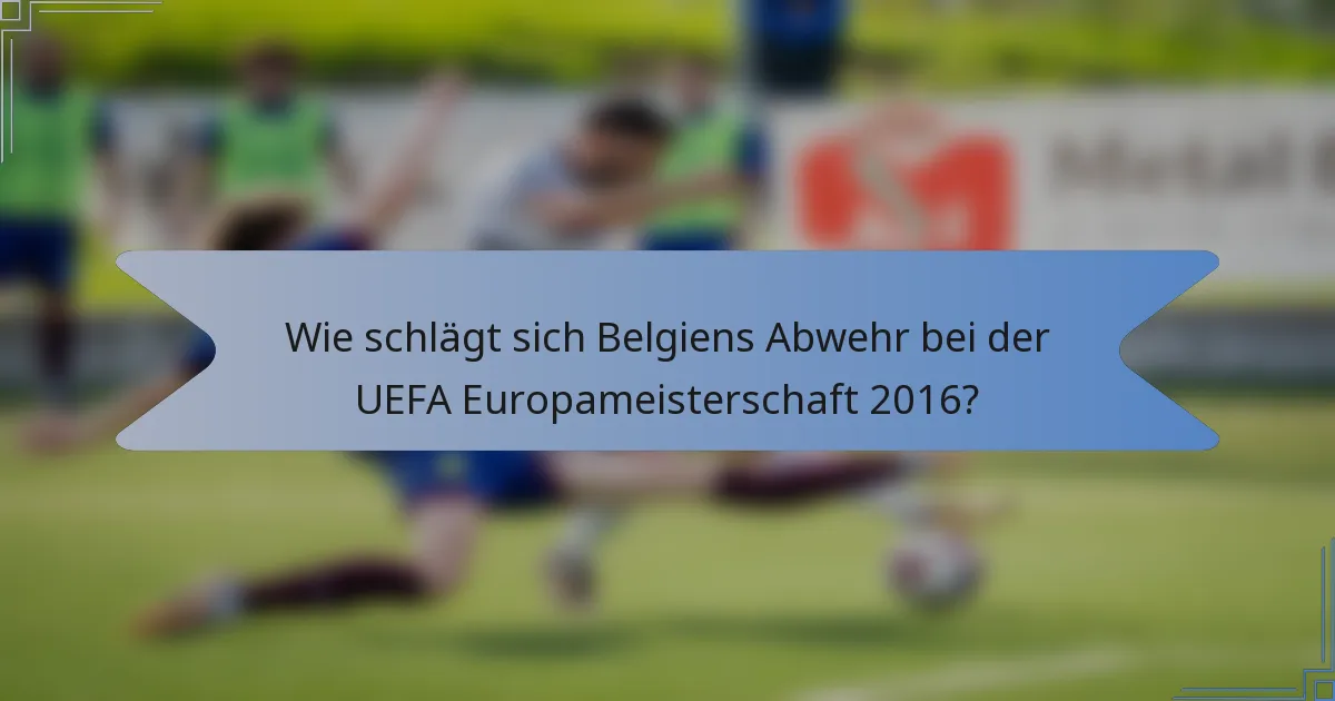Wie schlägt sich Belgiens Abwehr bei der UEFA Europameisterschaft 2016?